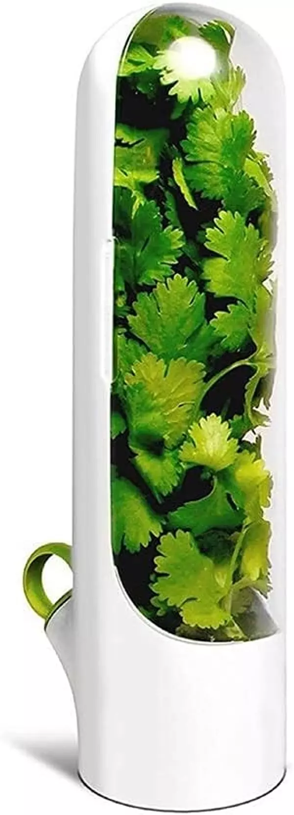 electrodomesticos - Botella De Conservación De Verduras, vegetales, cilantro, cebollin envase 4