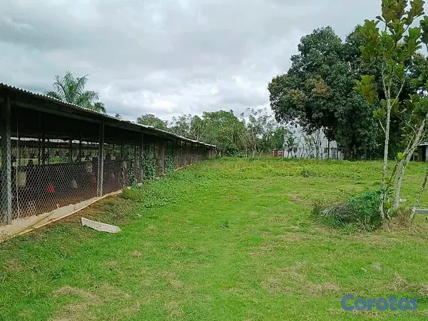 otros inmuebles - finca para criar de pollos y diversión proximo a la autovía de samana 8