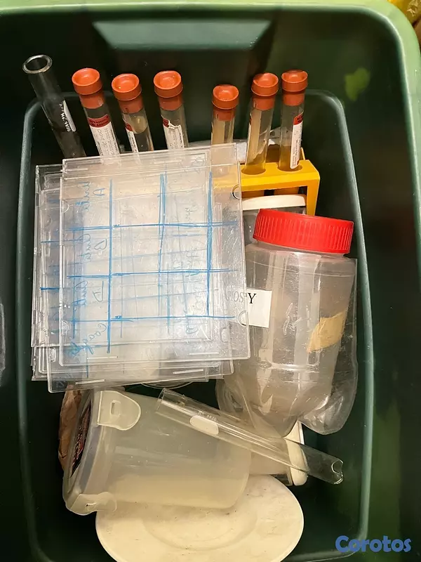 equipos profesionales - Microscopio 6