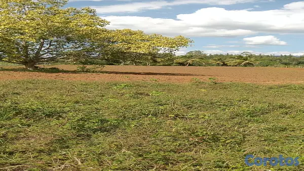 solares y terrenos - Terreno en venta en Rancho Los Mogotes 5