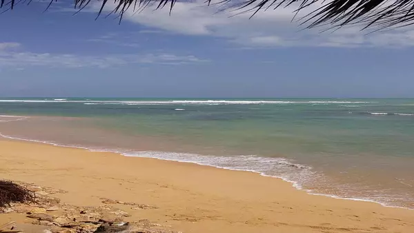 solares y terrenos - VENDO en primera linea de playa, Uvero Alto 1