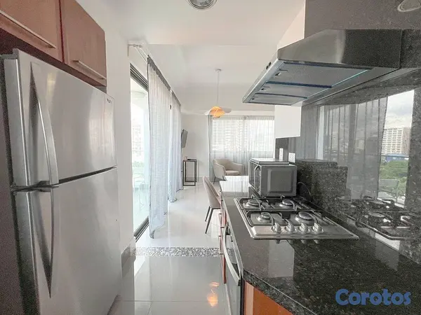 apartamentos - Apartamento en Alquiler de una Habitación Amueblado -Ensanche Naco 6