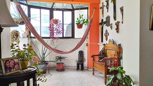 apartamentos - Apartamento en venta en Naco, Clasico, 5to piso, Distrito Nacional  8