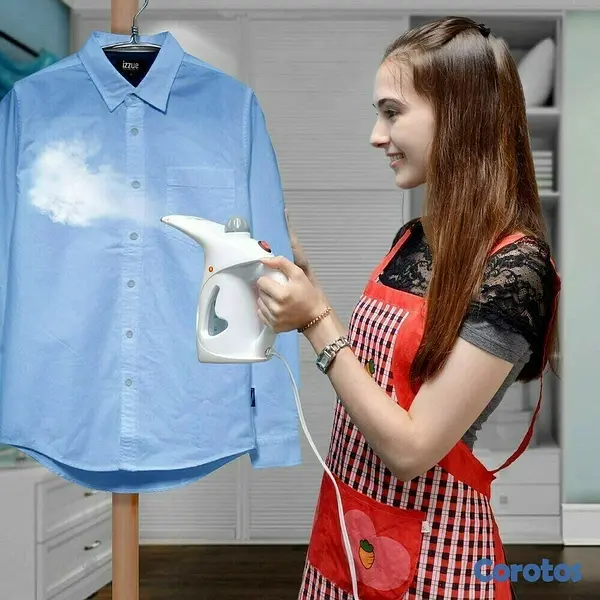 electrodomesticos - Plancha a vapor para ropa y rostro 4