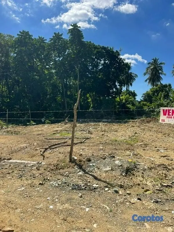 solares y terrenos - Se vende solar con su titulo 3