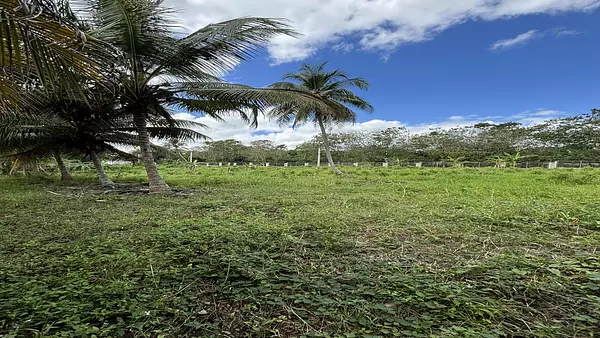 solares y terrenos - Terrenos Autopista Duarte 6