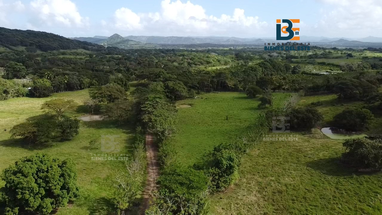 solares y terrenos - VENDO  32 Tareas de Tierra en Hato Mayor 3