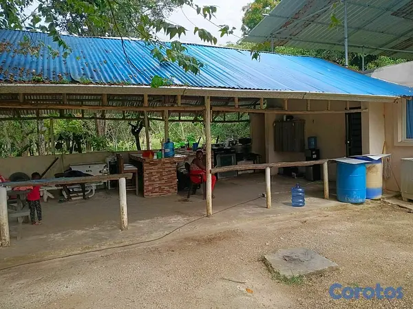 otros inmuebles - finca para criar de pollos y diversión proximo a la autovía de samana 9