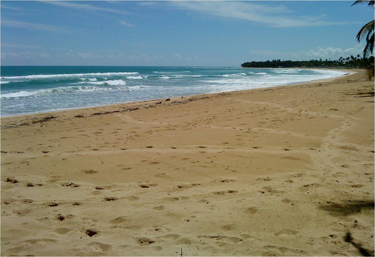 solares y terrenos - Gran Solar de Playa Uvero Alto con documentos  3