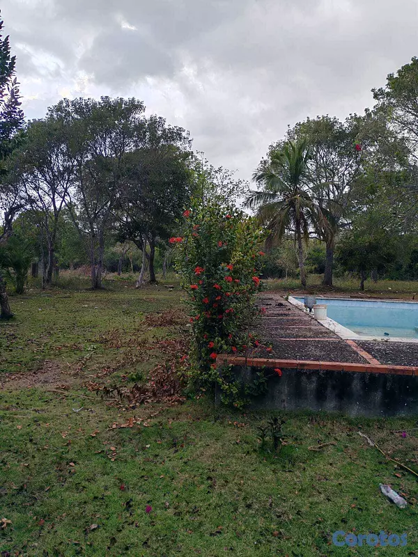 solares y terrenos - Vendo 14,000 Mts.2 de Terreno JUSTO AL LADO de GUAVABERRY en Juan Dolio, margina 4