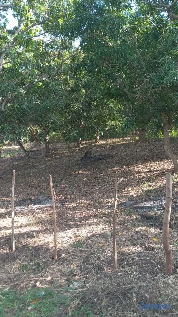 solares y terrenos - tremenda oportunidad terreno en San Cristóbal  3