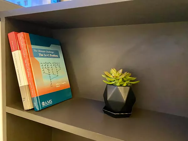 apartamentos - Apartamento en Venta Amueblado MIRADOR SUR  4