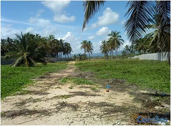 solares y terrenos - Vendo 1.5 Millón de Mts.2 CON PLAYA en UVERO ALTO  8
