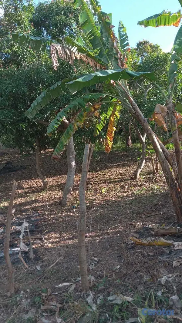 solares y terrenos - tremenda oportunidad terreno en San Cristóbal  4