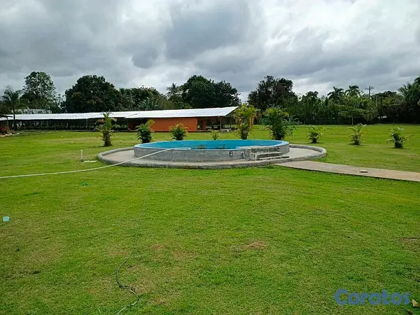 otros inmuebles - finca para criar de pollos y diversión proximo a la autovía de samana 2