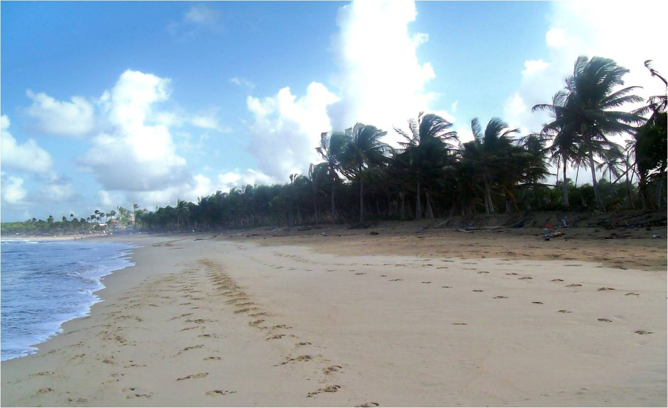 solares y terrenos - Gran Solar de Playa Uvero Alto con documentos  2