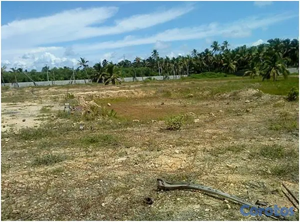 solares y terrenos - Vendo 1.5 Millón de Mts.2 CON PLAYA en UVERO ALTO  9