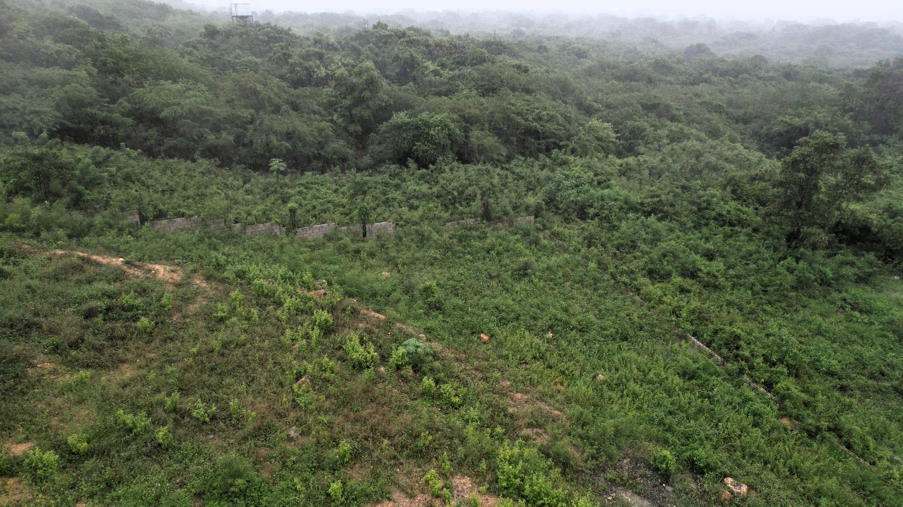 casas vacacionales y villas - Venta mejora Casa, Solar en Hato Viejo de Nigua 4