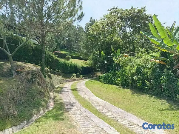 solares y terrenos - Terreno para proyecto ecoturistico en jarabacoa 8