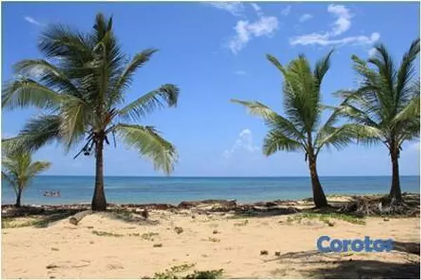 solares y terrenos - Gran Solar de Playa Uvero Alto con documentos  7