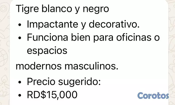 decoración y accesorios - cuadro de  tiguere  2