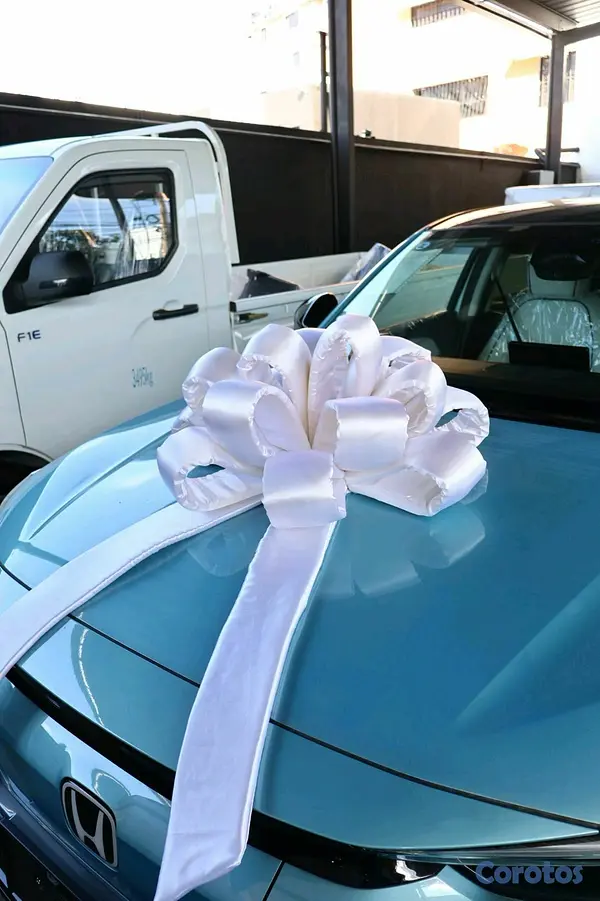 accesorios para vehiculos - lazos exclusivos para vehículos
 3