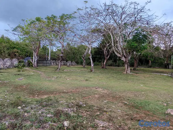 solares y terrenos - Vendo 14,000 Mts.2 de Terreno JUSTO AL LADO de GUAVABERRY en Juan Dolio, margina 5