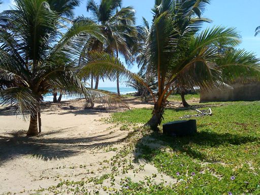 solares y terrenos - Gran Solar de Playa Uvero Alto con documentos  5