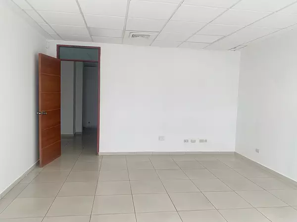 oficinas y locales comerciales - Local en Piantini  5