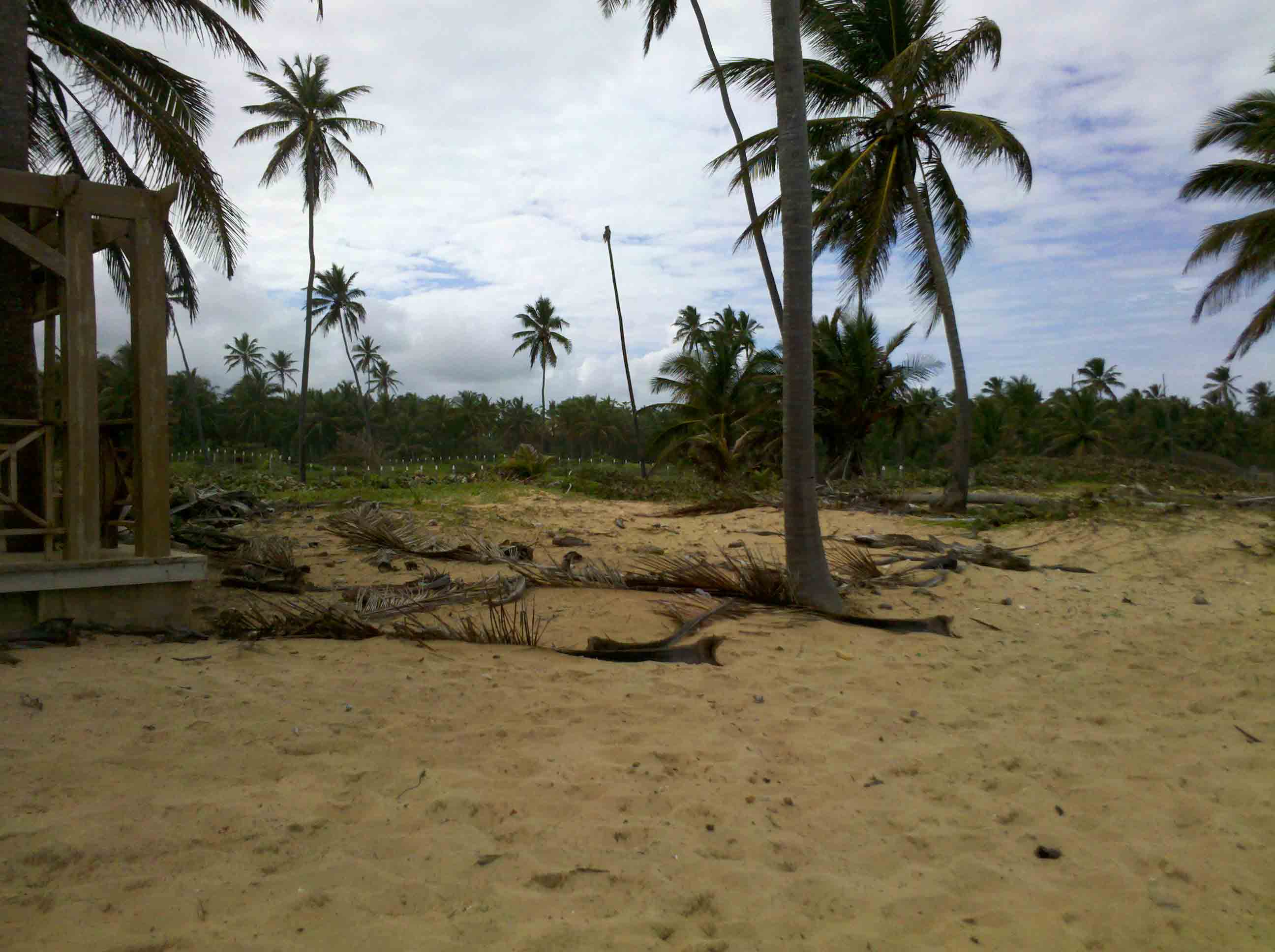 solares y terrenos - Gran Solar de Playa Uvero Alto con documentos  9