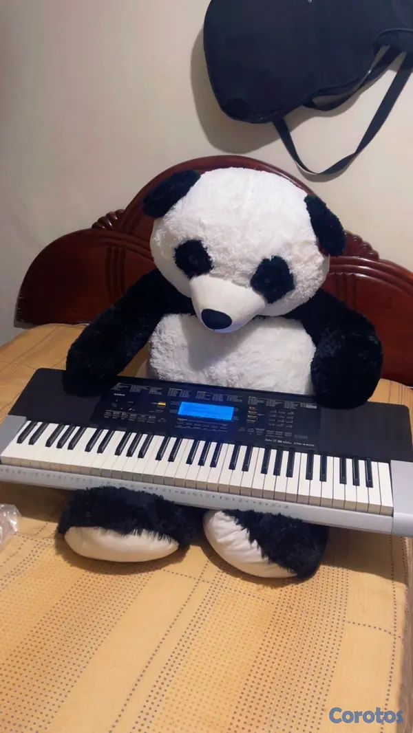 instrumentos musicales - Teclado Casio CTK-4400 4