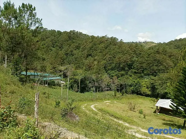 solares y terrenos - Terreno para proyecto ecoturistico en jarabacoa 9