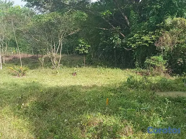 solares y terrenos - Vendo Solar estratégicamente ubicado en los oreole 5