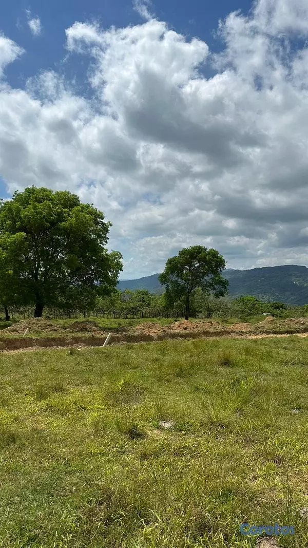 solares y terrenos - TERRENOS EN VENTA EN EL CUPEY CON VISTA A LA MONTA 5