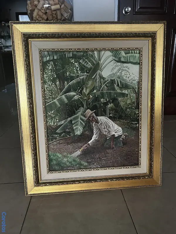 decoración y accesorios - Anderson Rodríguez “El agricultor”  2