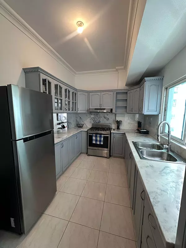 apartamentos - Alquiler de Apartamento Amueblado en Piantini 5