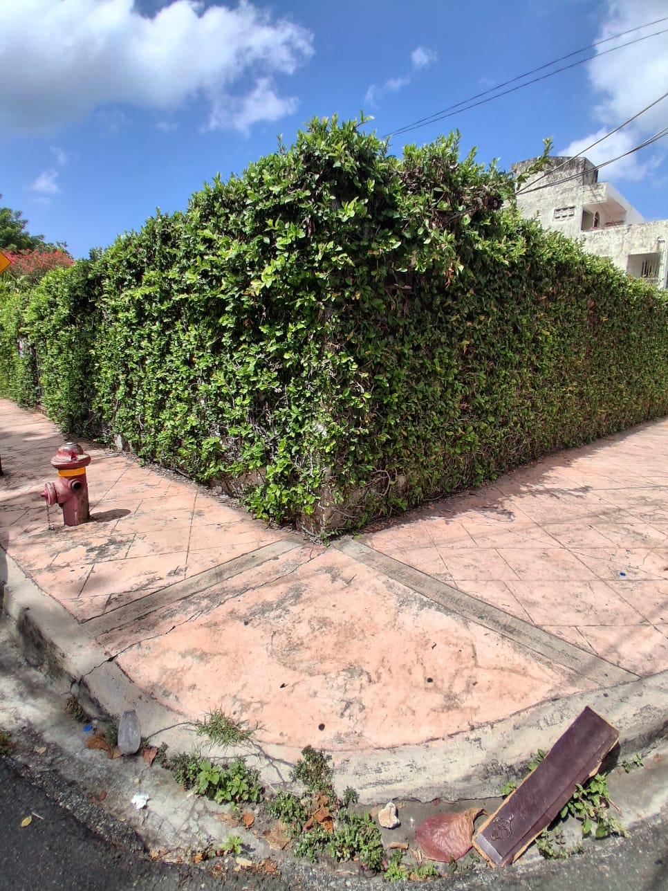 casas - Casas en Venta Gazcue Precio US$ 700,000