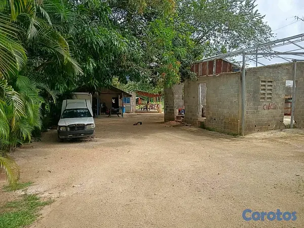 otros inmuebles - finca para criar de pollos y diversión proximo a la autovía de samana 6