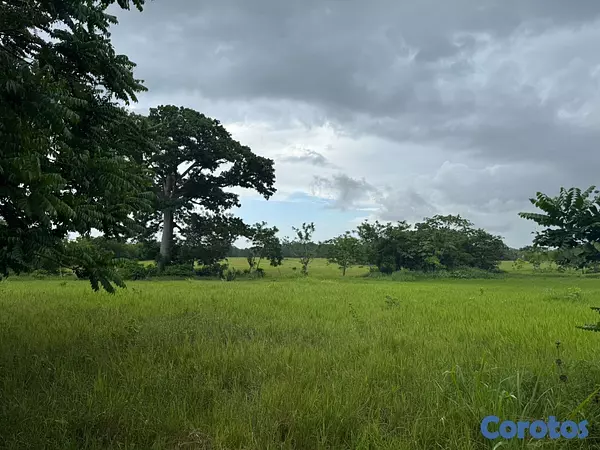 solares y terrenos - Finca Ganadera en Cotui de 800 tareas  3