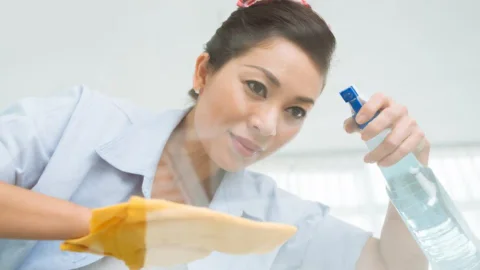empleos disponibles - Asistente del hogar (Domestica)