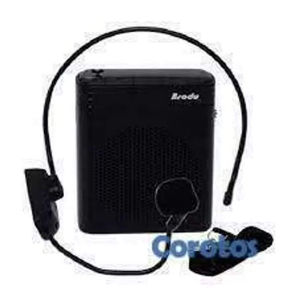 camaras y audio - Bocina + Microfono BTS-1385 parlante para charlas, 2