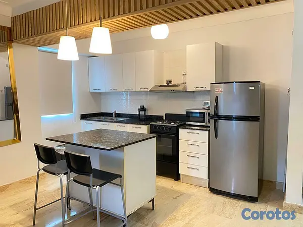 apartamentos - Alquiler amueblado en Naco | 1 Habitación | US$940 1
