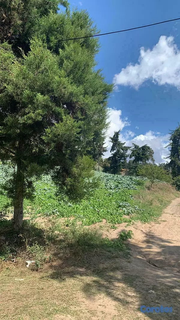 solares y terrenos - Venta de Solares en Constanza Excelente Ubicación! 3